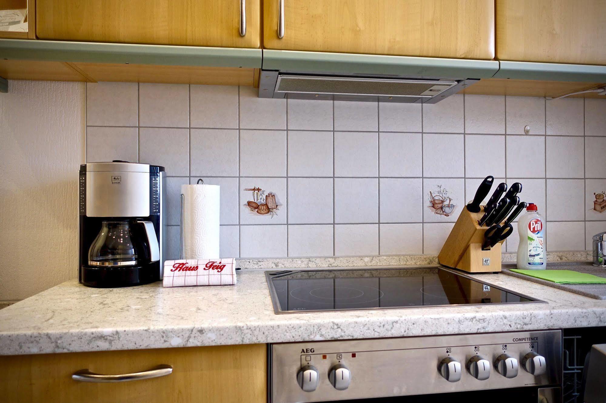 Ferienwohnung Haus Feig Geyer Exteriör bild