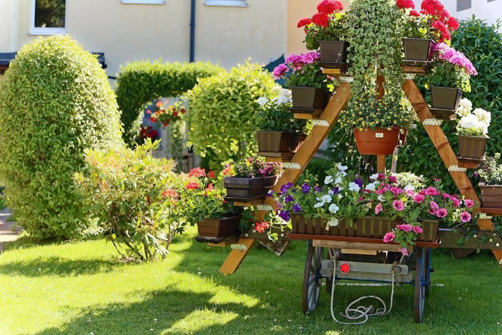 Ferienwohnung Haus Feig Geyer Exteriör bild