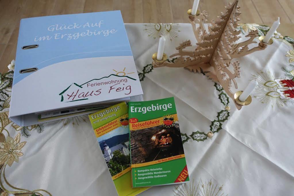 Ferienwohnung Haus Feig Geyer Exteriör bild
