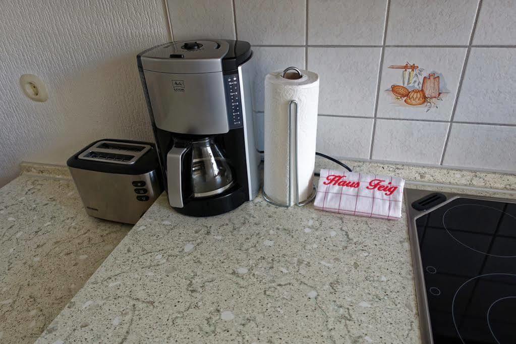 Ferienwohnung Haus Feig Geyer Exteriör bild